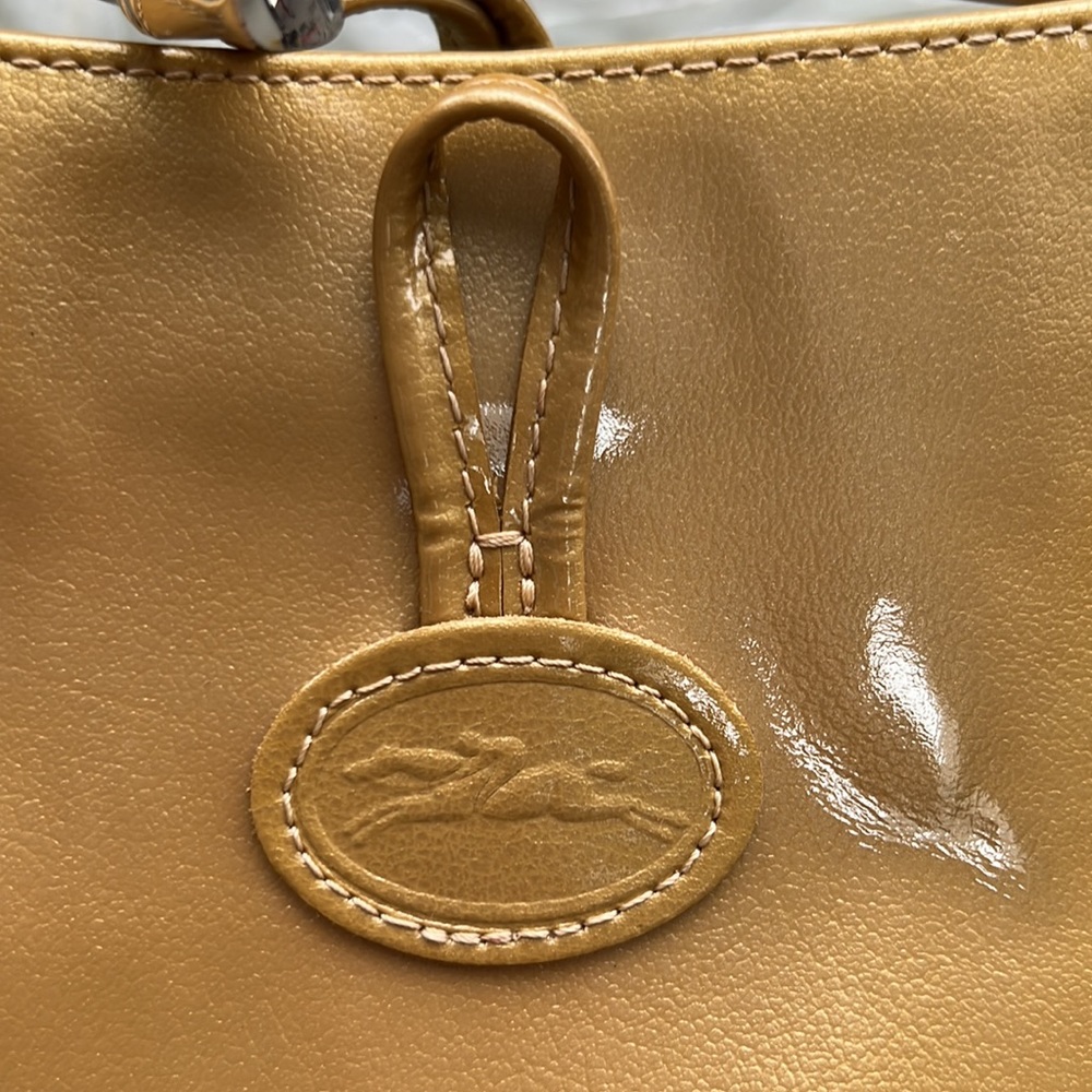 Longchamp Adjustable Shoulder Bag - image 1